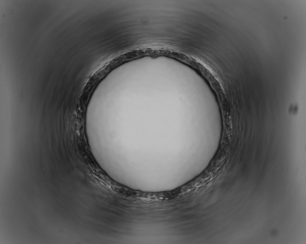 X0000098030823200804251413