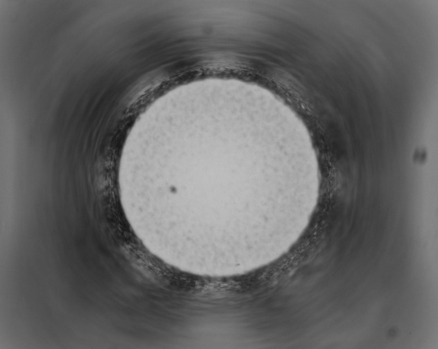 X0000098030824200804251413