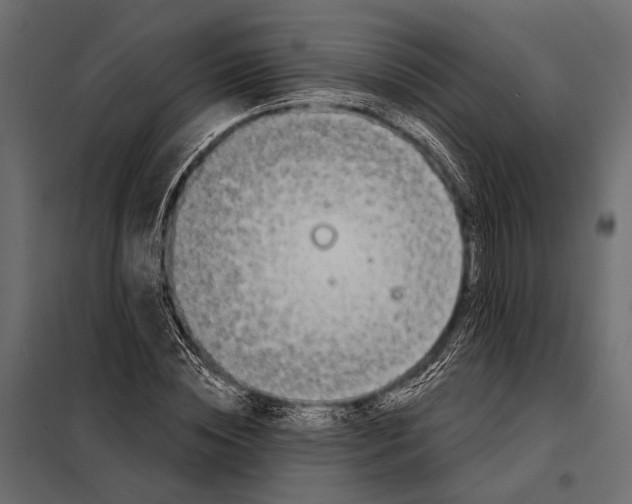 X0000098030828200804251413