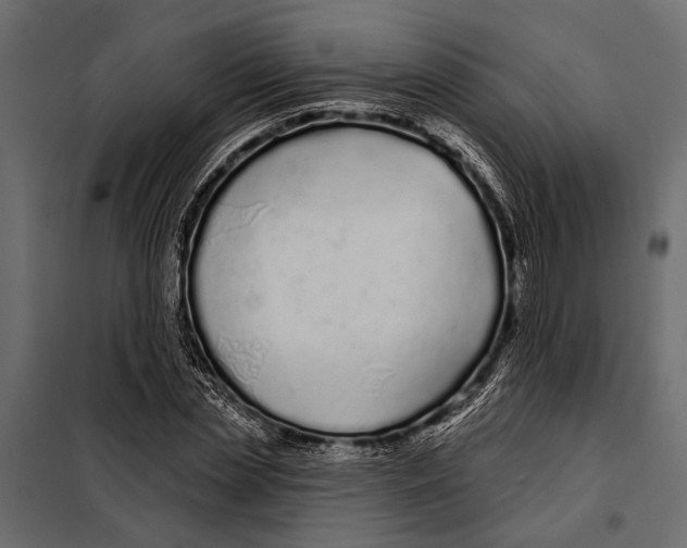 X0000098030829200804251413