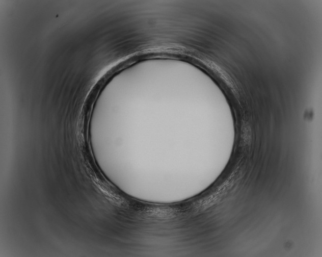 X0000098030830200804251413