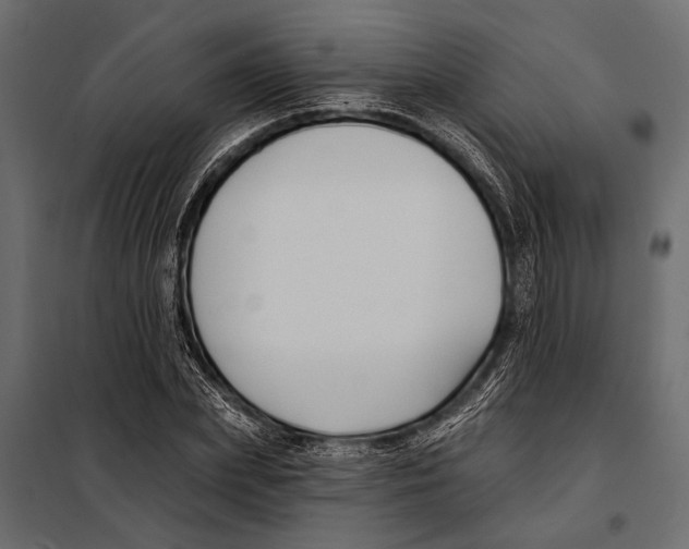 X0000098030831200804251413