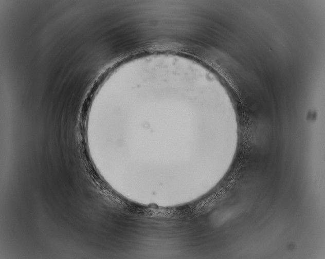 X0000098030832200804251413