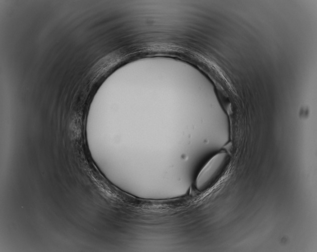 X0000098030833200804251413