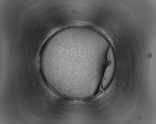 X0000098030835200804251413