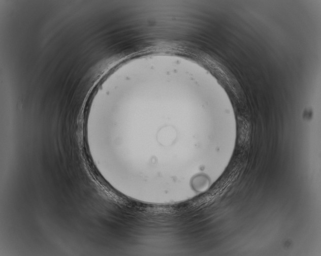 X0000098030836200804251413