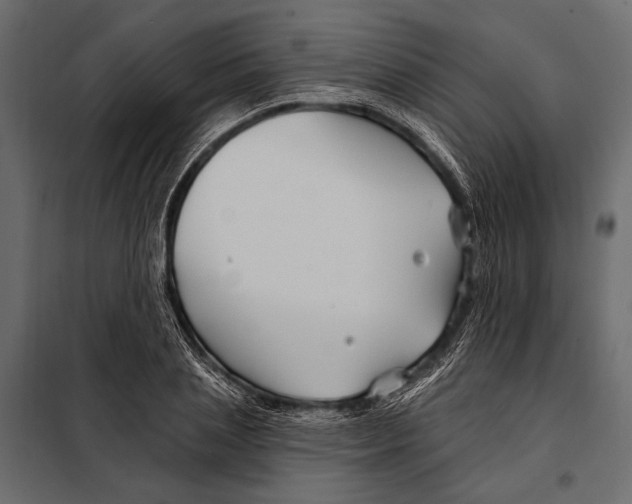 X0000098030837200804251413