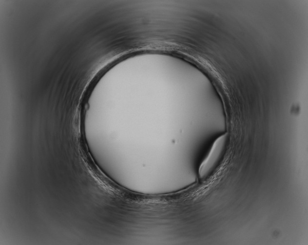 X0000098030838200804251413