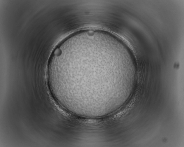 X0000098030839200804251413