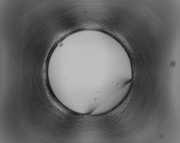 X0000098030840200804251413