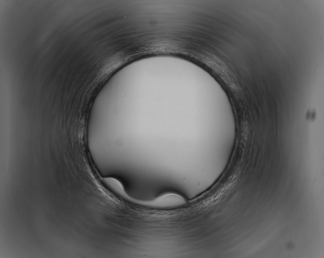 X0000098030841200804251413