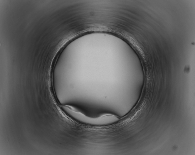 X0000098030845200804251413