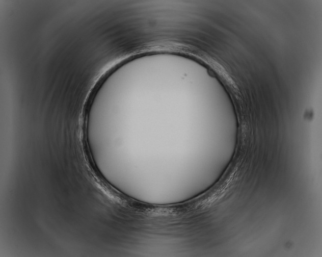 X0000098030846200804251413