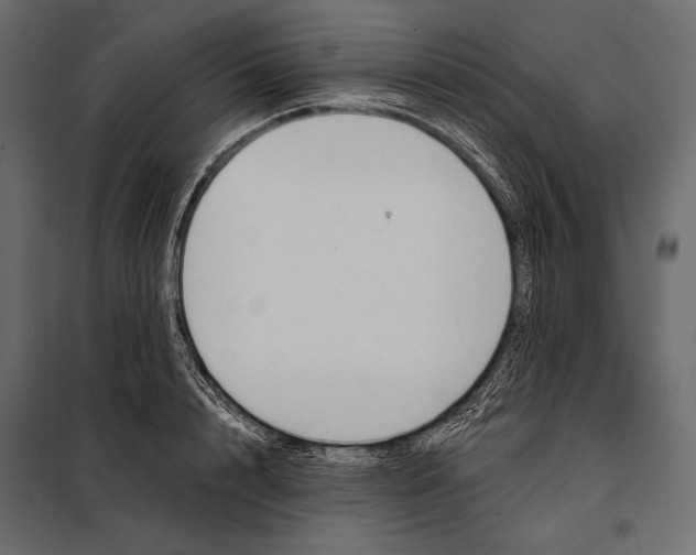 X0000098030848200804251413