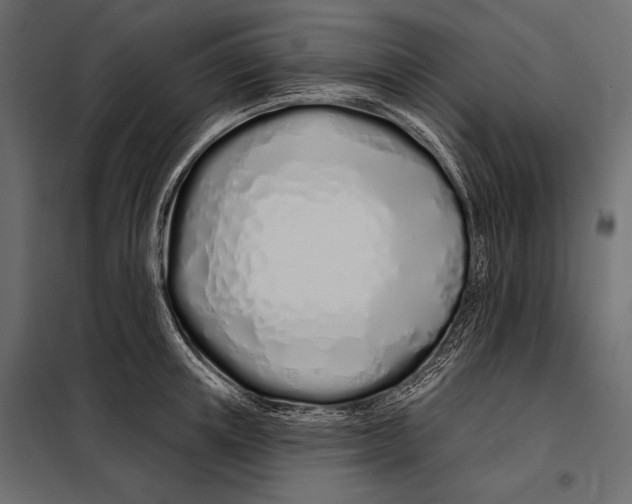 X0000098030851200804251413