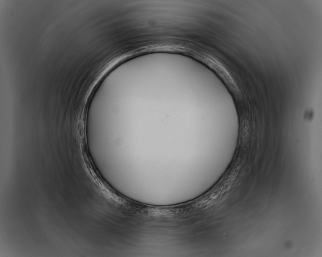 X0000098030852200804251413