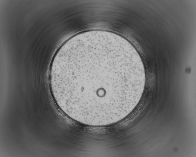 X0000098030856200804251413