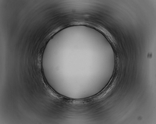 X0000098030857200804251413