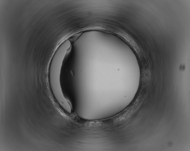 X0000098030858200804251413