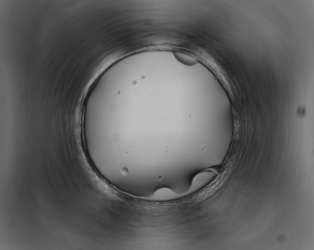 X0000098030859200804251413