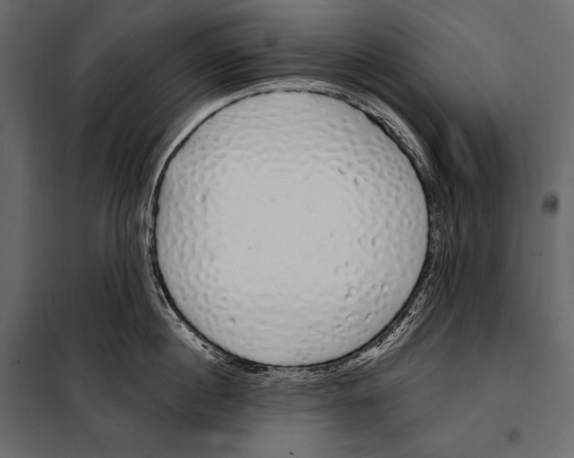 X0000098030860200804251413