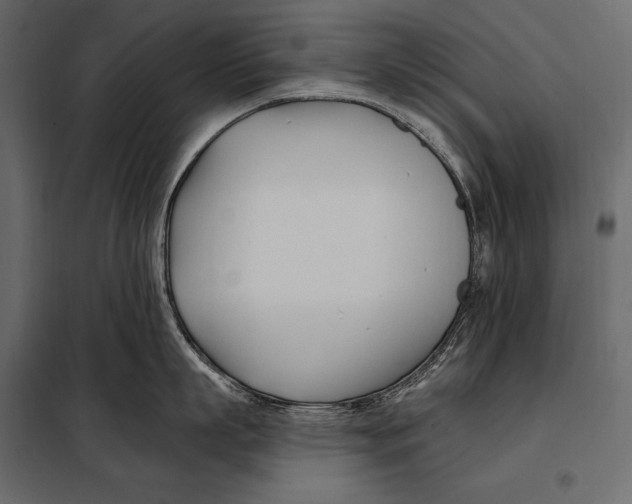 X0000098030863200804251413