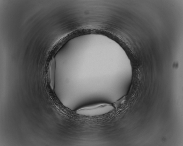 X0000098030872200804251413