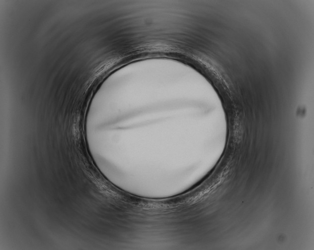 X0000098030873200804251413