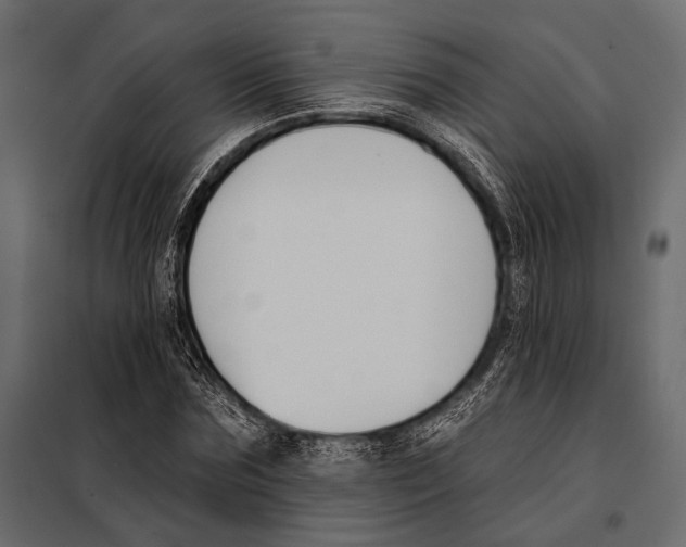 X0000098030875200804251413