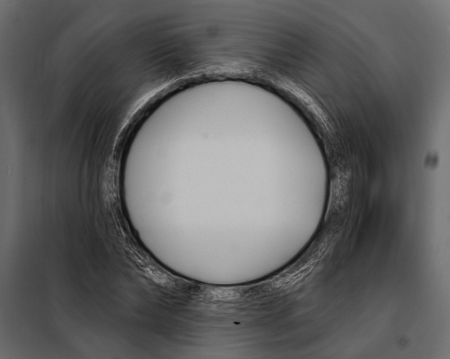 X0000098030878200804251413