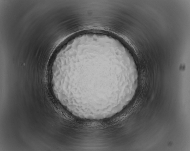 X0000098030879200804251413