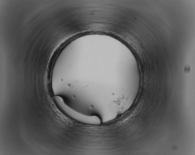 X0000098030880200804251412