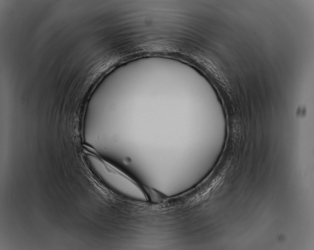 X0000098030881200804251412