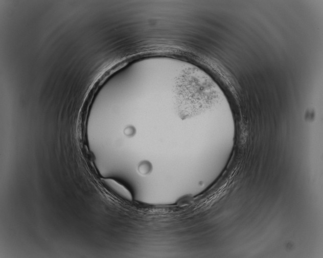 X0000098030883200804251412