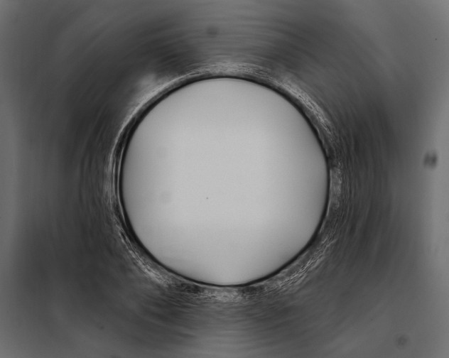 X0000098030886200804251412