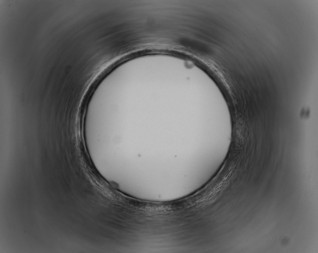 X0000098030887200804251412