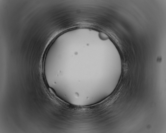 X0000098030891200804251412