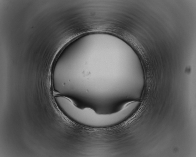 X0000098030892200804251412