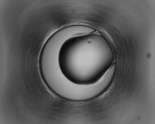 X0000098030893200804251412