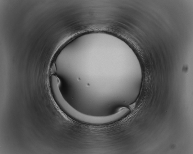 X0000098030894200804251412