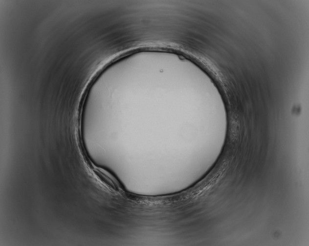 X0000098030895200804251412