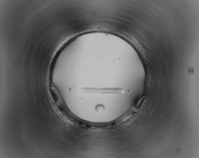 X0000098030896200804251412