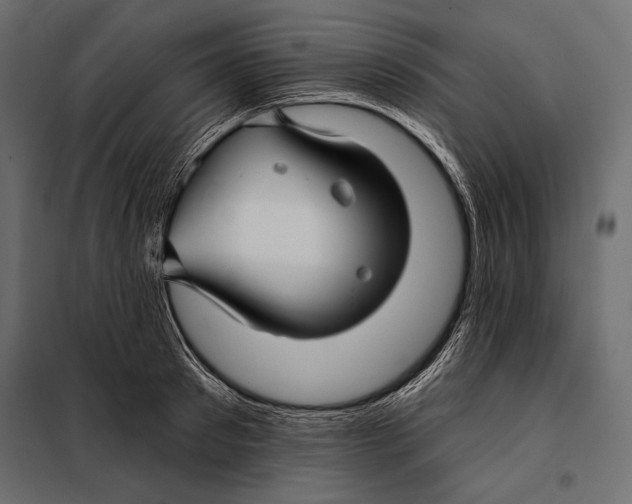 X0000098030897200804251412