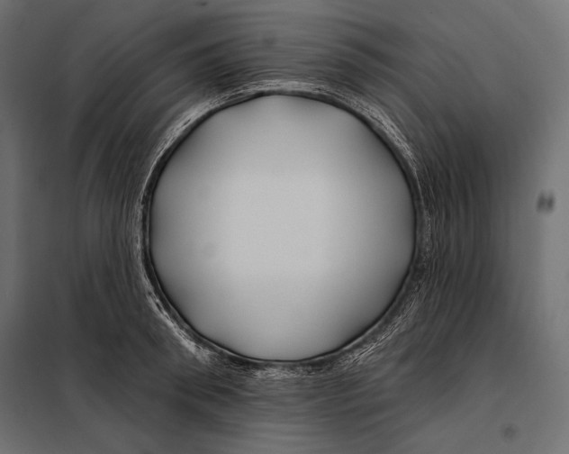 X0000098030898200804251412