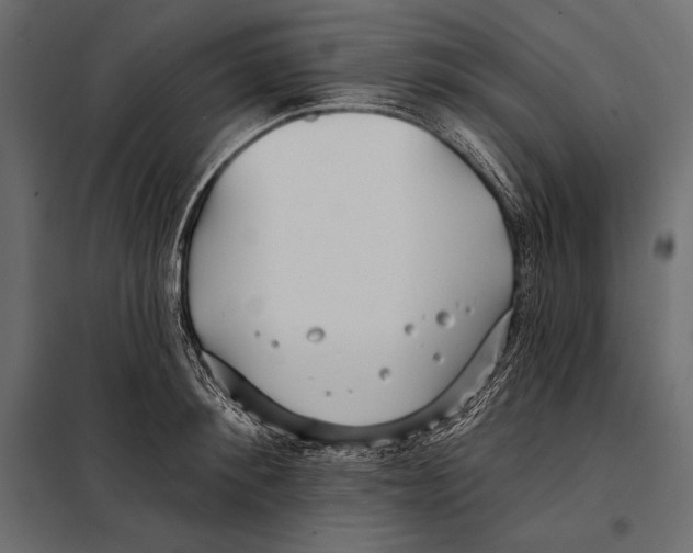 X0000098030900200804251412