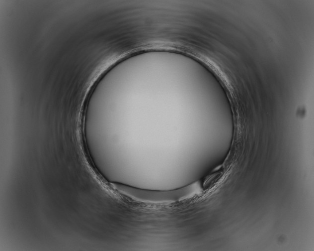 X0000098030901200804251412