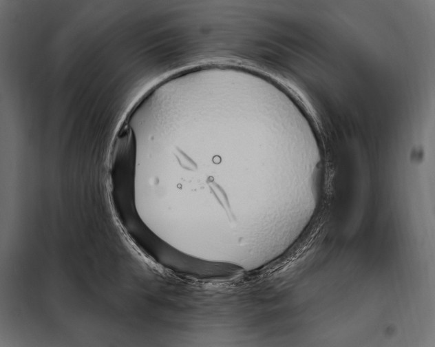 X0000098030903200804251412