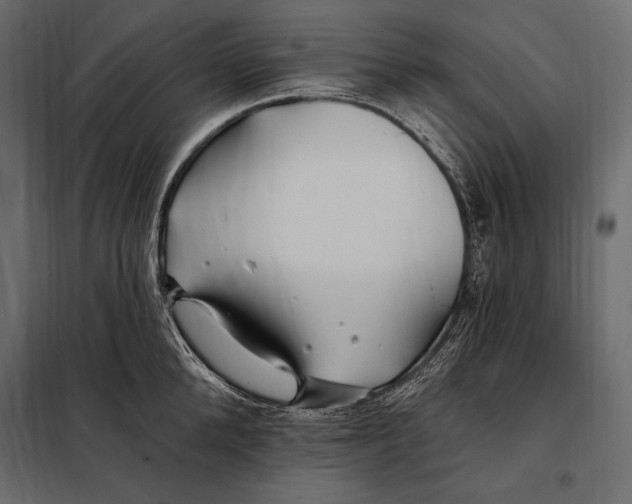 X0000098030904200804251412