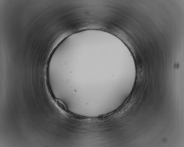 X0000098030906200804251412