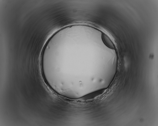 X0000098030907200804251412